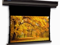 Экран для проектора Projecta TabScreen Electrol 183x183 Da-Tex