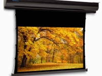 Экран для проектора Projecta TabScreen Electrol 132x175 HC